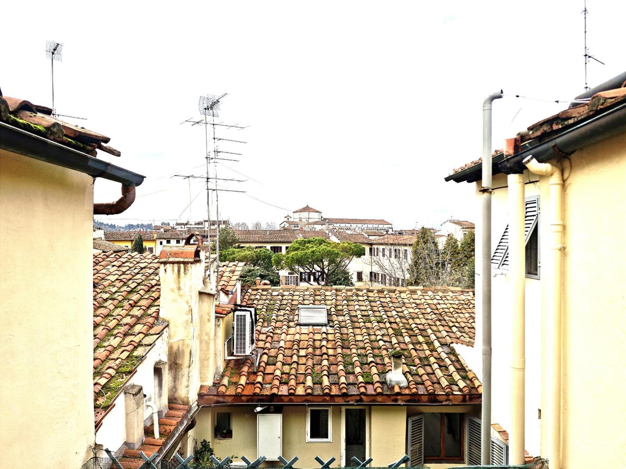 Greenhouse * Florencia